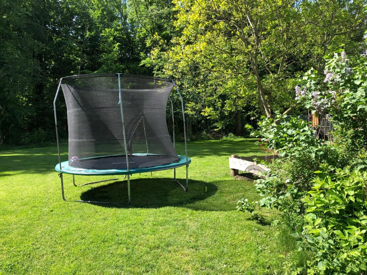 Ferienwohnung Am Waldrand Mit Sauna 비엔도르프 외부 사진